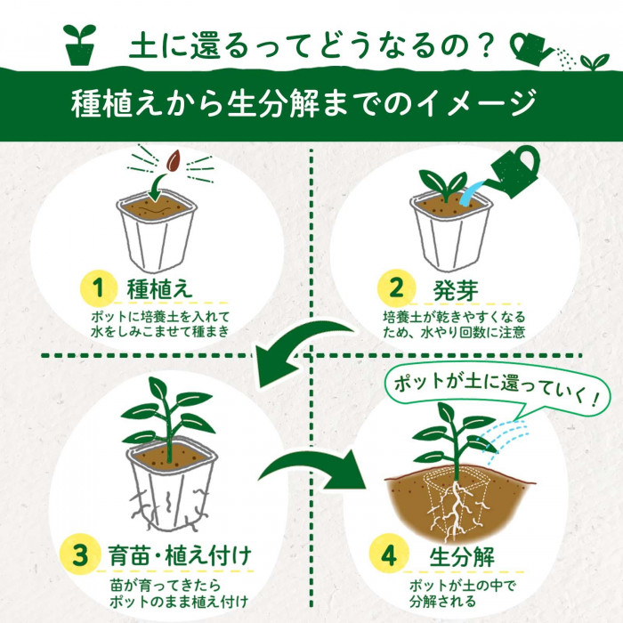 種植えから生分解までのイメージ