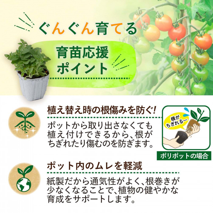 ぐんぐん育てる育苗応援ポイント