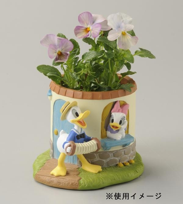 ※植物は付属しません。