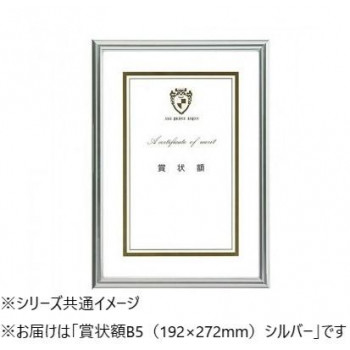 A.P.J. ニューライトフレーム(賞状サイズ) 賞状額B5(192×272mm) シルバー 0020285638