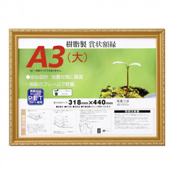 賞状額 金消-R A3(大) 33J045B3400