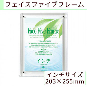 A.P.J フェイスファイブフレーム インチサイズ(203×255mm)対応 クリア 0030726962