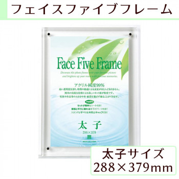 A.P.J フェイスファイブフレーム 太子サイズ(288×379mm)対応 クリア 0030726986