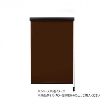 ロールスクリーン　エクシヴ　遮光タイプ　幅45×高さ135cm　遮光ブラウン・L3526