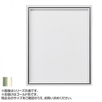 アルナ アルミフレーム デッサン額 IC ゴールド 300角・2274