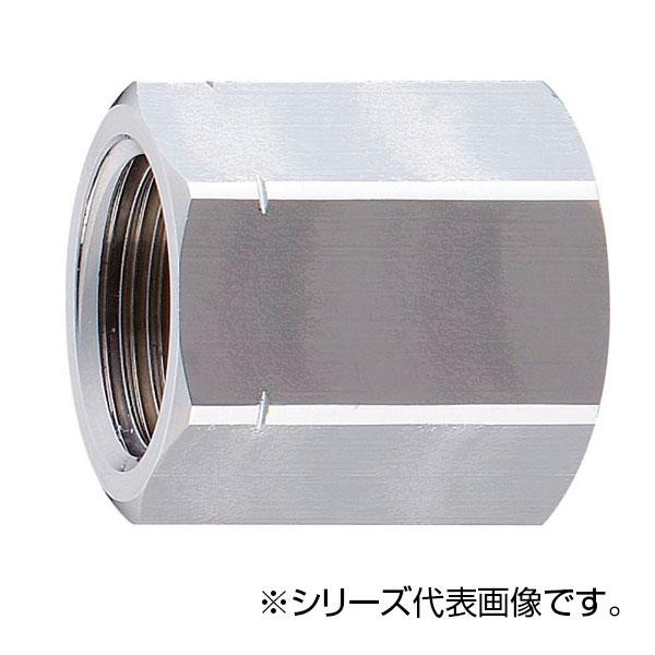 SANEI メスメスソケット T213-13