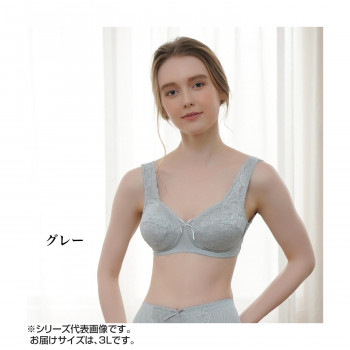 TAMURA EPARINA レディメイクブラジャー TPB17 グレー3L-TPB17-224-3L