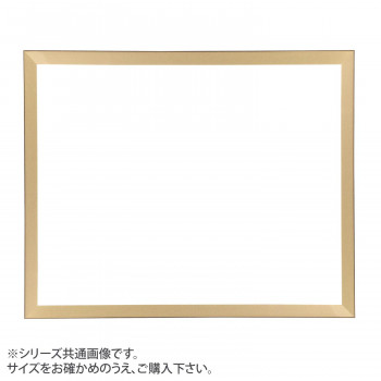 デッサン額 正方 桜平型 ゴールド 50角500×500 アクリル