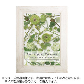 アンティークフレーム平型40 ホワイト B4(258×365)