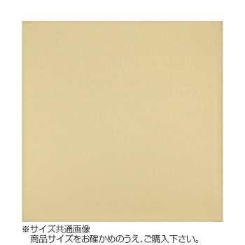 トレシー カラークロス 24×24cm A2424-YOO G-05 ベージュ