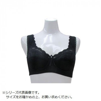 TAMURA シルキーボディシェイプ多機能 フルカップブラジャー YTA04 ブラック LL
