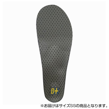 ホシノ インソール Flying Foot Hoshino Insole B+VC25M Variable Control 25M  SS