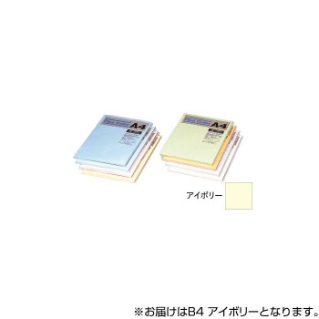 オストリッチダイヤ ニューファインカラーPPC用紙 B4 アイボリー 500枚入 FIV5-B4