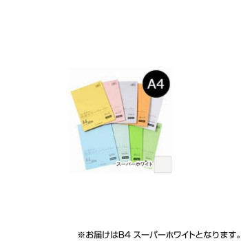 オストリッチダイヤ リッチライト特厚カラーペーパー (50枚パック) B4 スーパーホワイト TC-B49