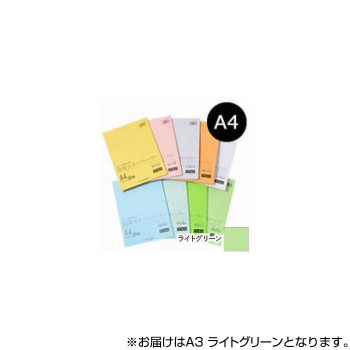 オストリッチダイヤ リッチライト特厚カラーペーパー (50枚パック) A3 ライトグリーン TC-A34