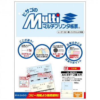 ヒサゴ マルチプリンタ帳票 A4 カラー 2面 4穴 100枚 BP2011