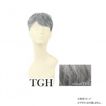 プリシラ  男性用5分ウィッグ レイヤーショート 耐熱 グレイヘア GB-22-TGH