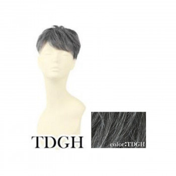 プリシラ  男性用5分ウィッグ レイヤーショート 耐熱 ダークグレイヘア GB-22-TDGH