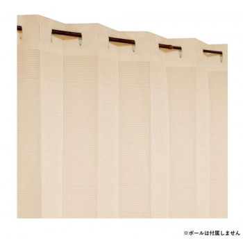Arie(アーリエ) 間仕切カーテン シキルクン 100×260 BE 725945100260065