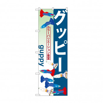 のぼり GNB-565 グッピー