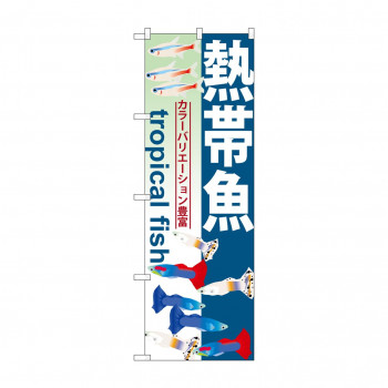 のぼり GNB-568 熱帯魚