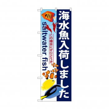 のぼり GNB-572 海水魚入荷しました