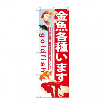 のぼり GNB-581 金魚各種います