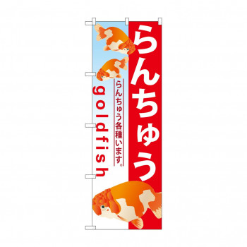 のぼり GNB-583 らんちゅう