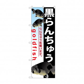 のぼり GNB-584 黒らんちゅう