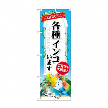 のぼり GNB-609 各種インコいます