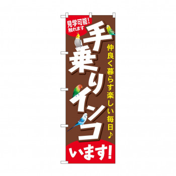 のぼり GNB-616 手乗りインコいます