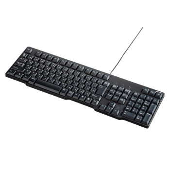 サンワサプライ USBキーボード ブラック SKB-L2UBKN