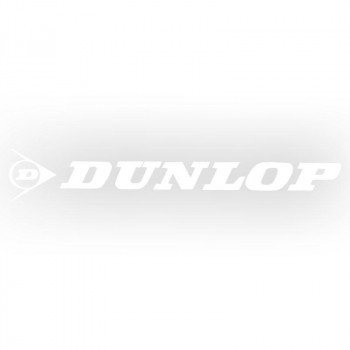 東洋マーク製作所　バイク・カーステッカー　DUNLOP　R-542