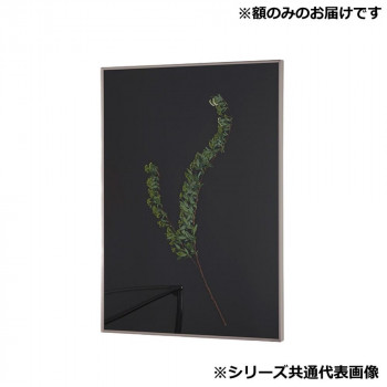 アルナ 額縁 シンプル ALUMIUM RIM マットシルバー インチ 16688