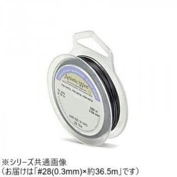 AW ワイヤー（オールドスプールス） ヘマタイト28(0.3Φ) 28（0.3mm）約36.5m