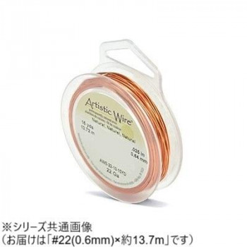 AW ワイヤー（オールドスプールス） ナチュラル22(0.6Φ) 22（0.64mm）約13.7m