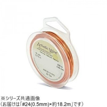 AW ワイヤー（オールドスプールス） ナチュラル24(0.5Φ) 24（0.5mm）約18.2m