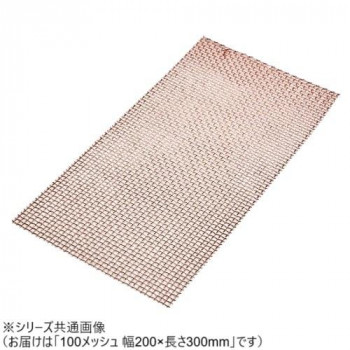 銅金網  100  200×300