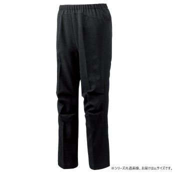ケアファッション 座・ビューティフォーパンツ(婦人) ブラック LL 82000113