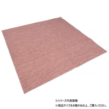 カーペット Nリーダー エドマ2 RO 715828001020013