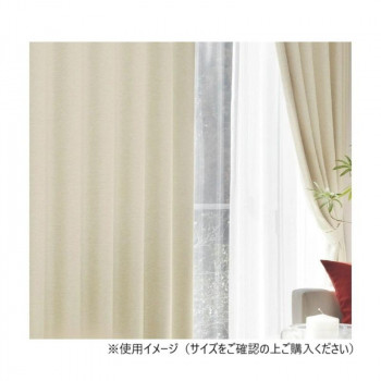 カーテン アール 2P 100X135 BE 725858000135065