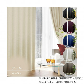 カーテン アール 2P 100X200 BK 725858000200009