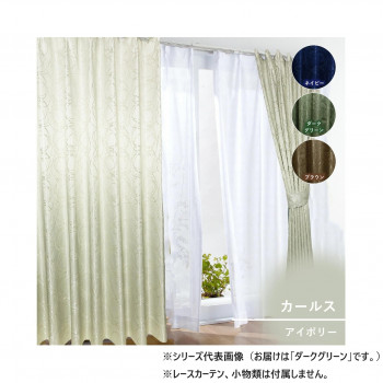 カーテン カールス 2P 100×135 ダークグリーン 725861000135038