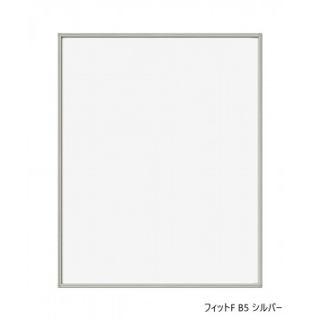 A.P.J. フィットF B5 シルバー 0020171337
