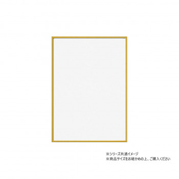 A.P.J. フィットF 全紙 ゴールド 0020153357