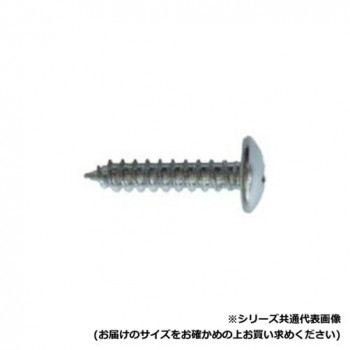 セレクト トラスタッピングビス　4X25 TR-25P