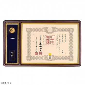 大額　叙勲額　4893　褒賞勲章　マホ/茶ドンス