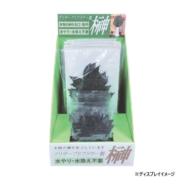 お供え用(仏花) プリザーブド榊 販売用ケースセット グリーン H80040