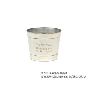 大橋新治商店 ゾンターク ホワイトD5 31-015