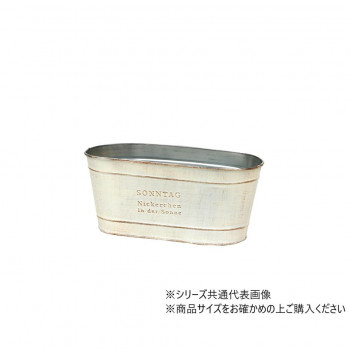 大橋新治商店 ゾンターク ホワイトD3.5W 31-113